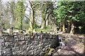 Stream off hillside west of Cyfarthfa Castle