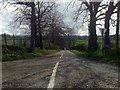 School Road, Tullindoney Townland