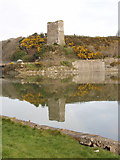 T0123 : Ferrycarrig castle by David Hawgood