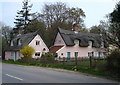 Thatched cottages at Sharpstone Street