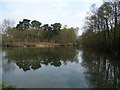 Wide part of the Basingstoke Canal