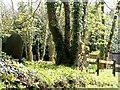 Part of graveyard, Cilymaenllwyd Parish Church, Login