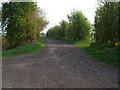 SE7405 : Scawcett Lane by Glyn Drury