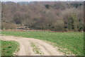 Pond on the edge of Browndown Wood