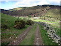 Bridleway below Fron Hen