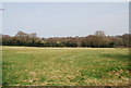 Looking south from the footpath east of Fliterbrook Lane