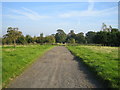 Track near Doddershall House 2