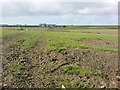 Farmland near Ratford Bridge