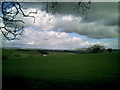 Little Stainton Farm in the background