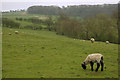 North-east of Nunburnholme