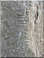 T0122 : Ogham alphabet inscription, Irish National Heritage Park by David Hawgood