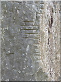 T0122 : Ogham alphabet inscription, Irish National Heritage Park by David Hawgood