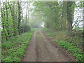 Bridleway to Drane Farm