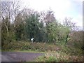 Footpath entrance off Login hill.