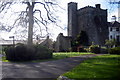 N9231 : Barberstown Castle, Straffan. Co Kildare by Harold Strong