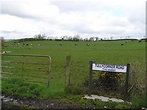 H5557 : Tycanny Townland by Kenneth  Allen