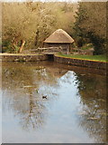 T0122 : Watermill, Irish National Heritage Park by David Hawgood