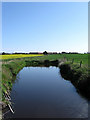 Pond near Old Place Farm