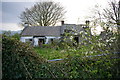 J1421 : Ruined cottage with blackthorn blossom by David Crozier