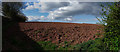 Mid Devon : Ploughed Field