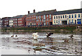 West bank of Severn, Bewdley