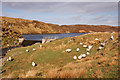 Loch Oichean