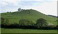 SP8306 : Beacon Hill from Ellesborough Church Tower by Rob Farrow