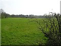 Beltany Townland