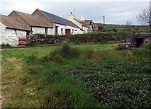 SM7527 : Cottages at Treleddyd-fawr by Natasha Ceridwen de Chroustchoff