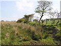 Knockmany Townland