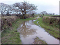 Track to Flimstone and Highgate Farm