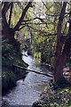 Ginge Brook flowing through Steventon