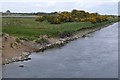 M4140 : River Clare (Abhainn an ChlÃ¡ir) by Graham Horn