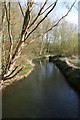 River past the weir