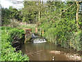 Corpusty - weir at village green