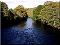 NZ0120 : River Tees by Paul Gregory