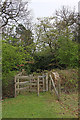 Footpath in Wrotham Park