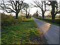 Brackenthwaite Lane