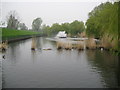 Borehamwood: Aberford Park Lake