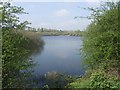 Sneyd Reservoir - Wyrley & Essington Canal