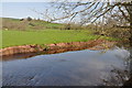 The Gwendraeth Fach south east of Llandyfaelog