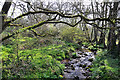 Un-named tributary of the Gwendraeth Fach