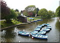 Boats for hire on the Royal Military Canal, Hythe