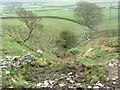 Stream below Brook Hill Lane, Dunford