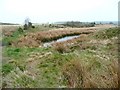 Nature reclaiming land, Dunford