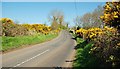 The Hillside Road near Ballycastle (1)