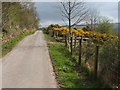 Road leading towards Blackthird Farm