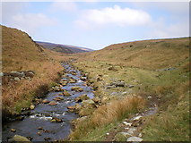 SH9925 : Up the valley of the Afon Cedig by Richard Law