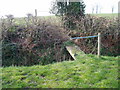 Overgrown Footbridge