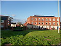 Tiverton : Lea Road Housing